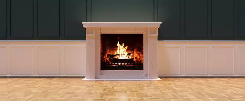 Napoleon Electric Fireplaces Inspection Service in Mercer Island, Washington